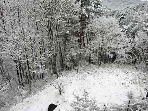 e0001110_10353939.jpg