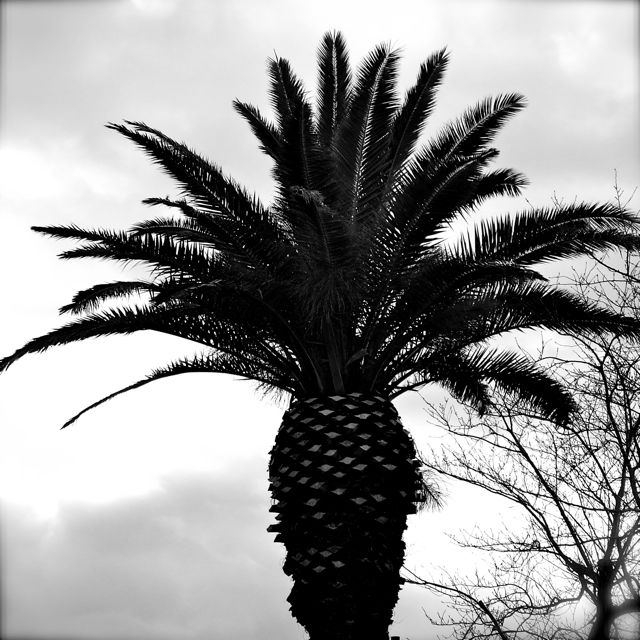 e0231514_22561020.jpg