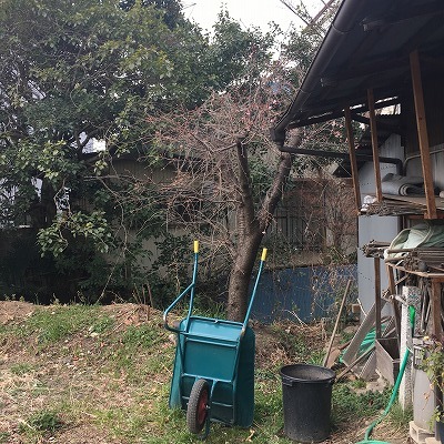 d0182119_01195580.jpg