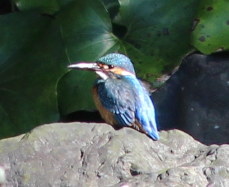 c0280322_22504909.jpg