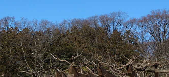 c0280322_22543504.jpg