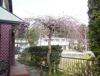 f0235026_17322577.jpg