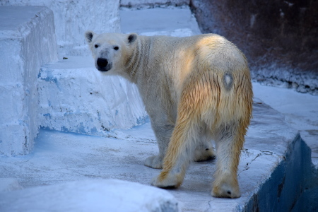 f0344626_01553049.jpg