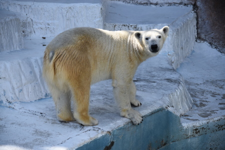 f0344626_02092068.jpg