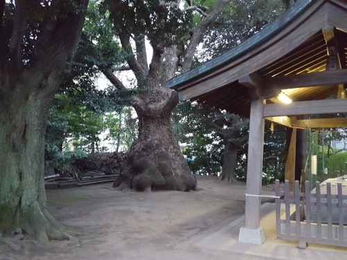 e0016828_09464644.jpg