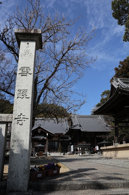a0242438_19424159.jpg
