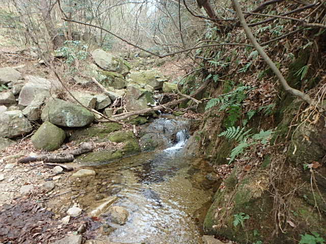 f0334143_8301495.jpg