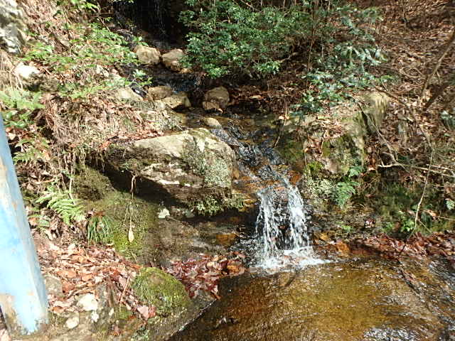 f0334143_831854.jpg