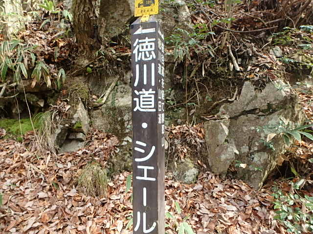 f0334143_8335184.jpg