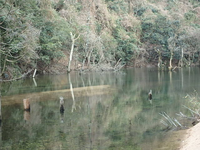 f0334143_8345051.jpg