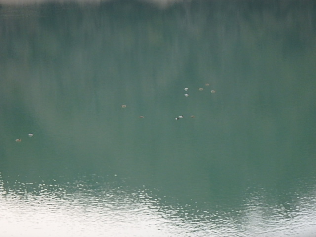 f0334143_8365014.jpg