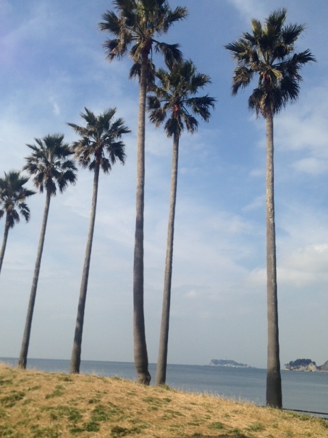c0343447_08181747.jpg