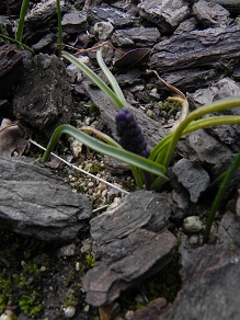 c0109450_2123071.jpg