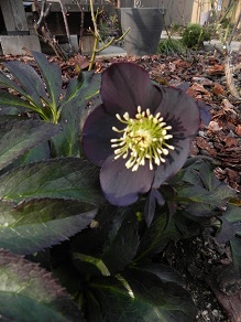 c0109450_2134092.jpg