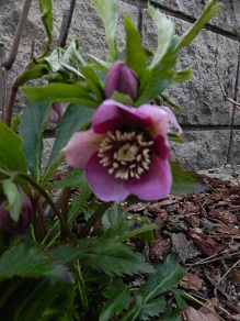 c0109450_2141886.jpg