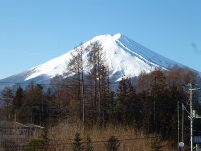 f0112951_2331836.jpg