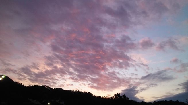 f0337851_00044249.jpg