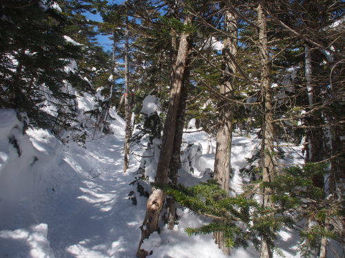 b0335256_21183364.jpg