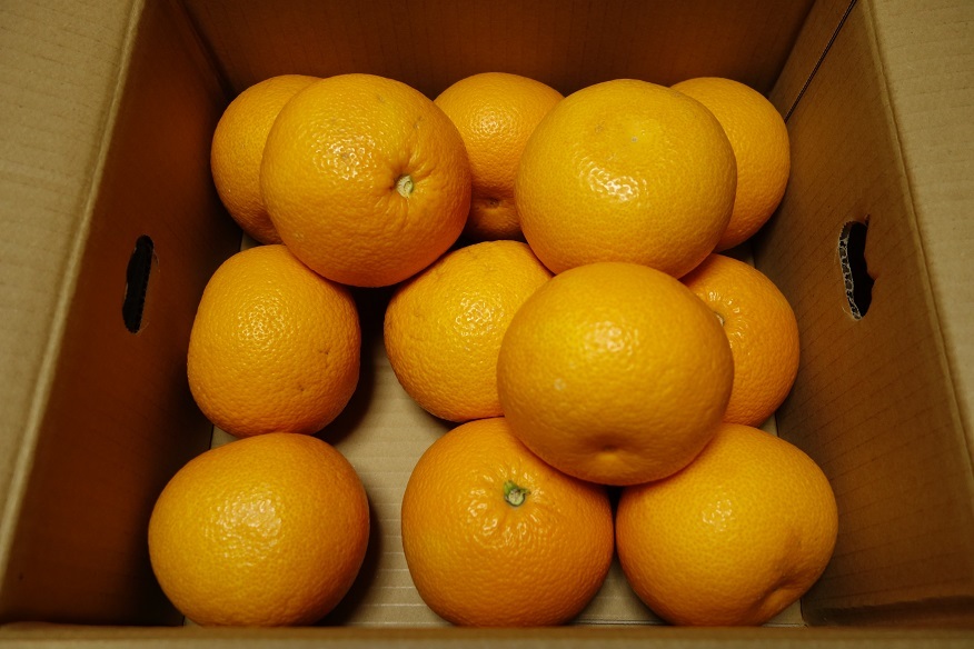 c0236857_21595698.jpg