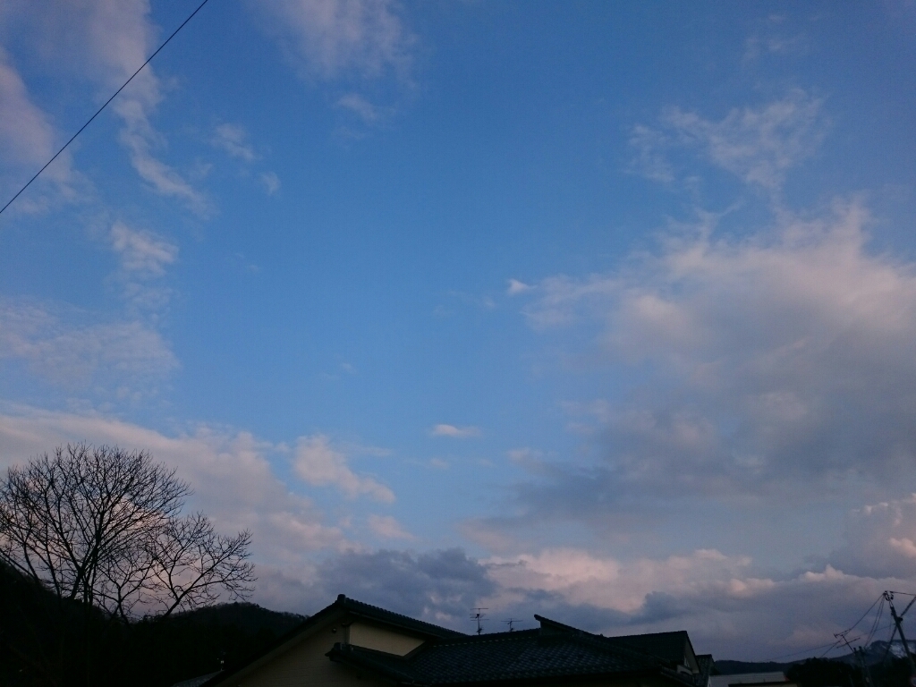 d0095673_20451554.jpg