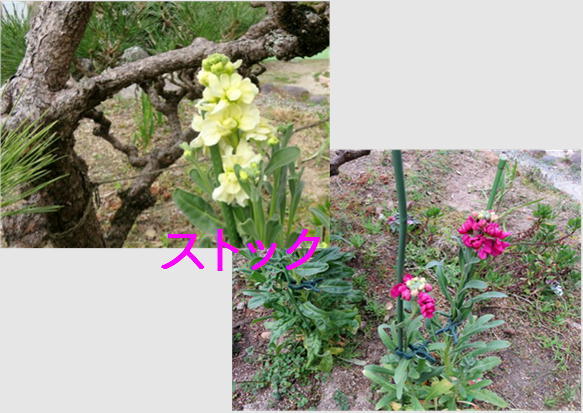 f0003174_14570817.jpg