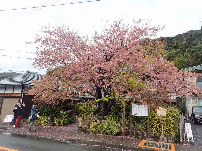 c0183777_964914.jpg