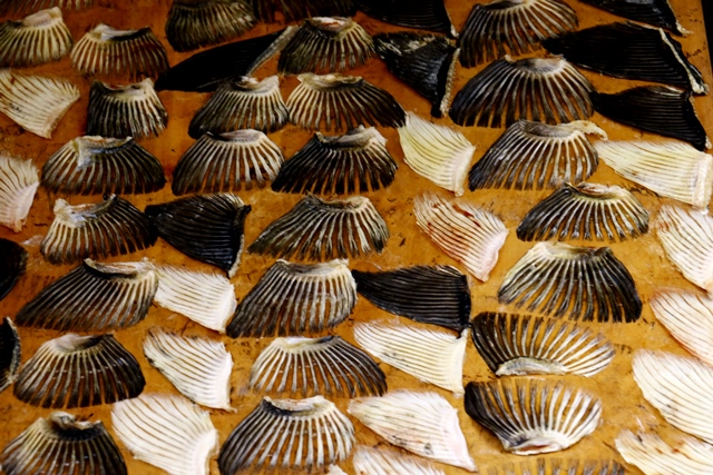 d0126577_16382521.jpg