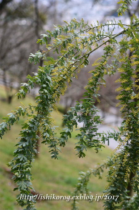 a0223379_21465981.jpg
