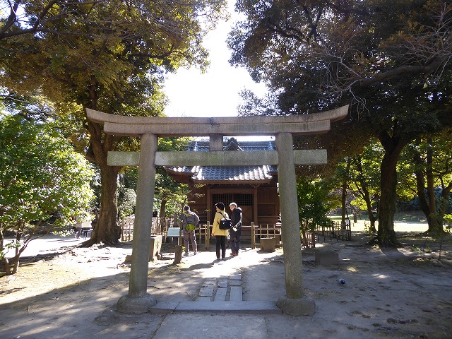 b0287088_1531298.jpg