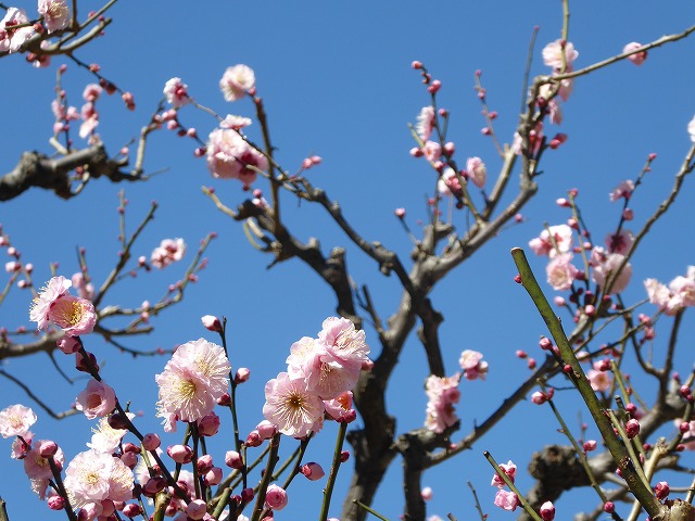 b0287088_15321767.jpg