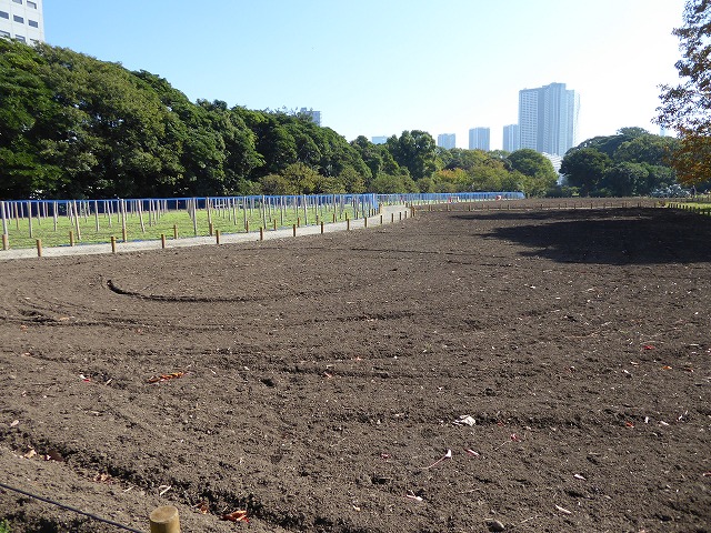 b0287088_1543547.jpg