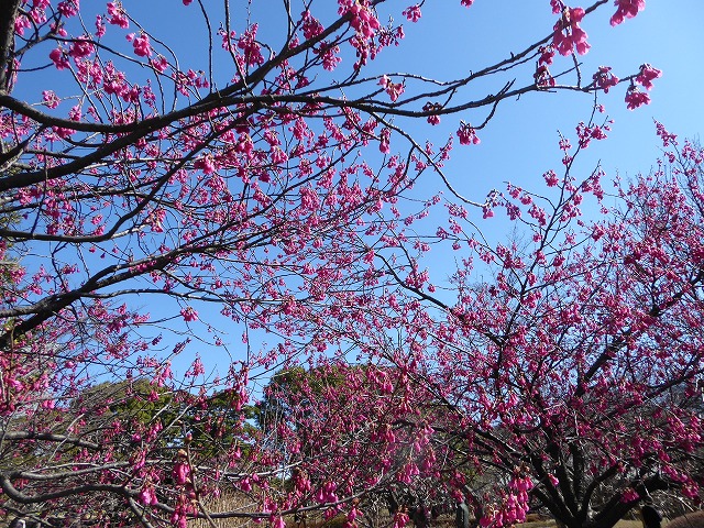 b0287088_15514996.jpg