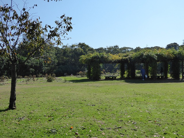 b0287088_15593213.jpg