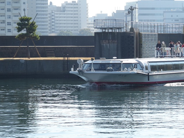 b0287088_1604295.jpg
