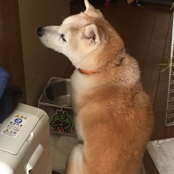 c0123890_21002838.jpeg