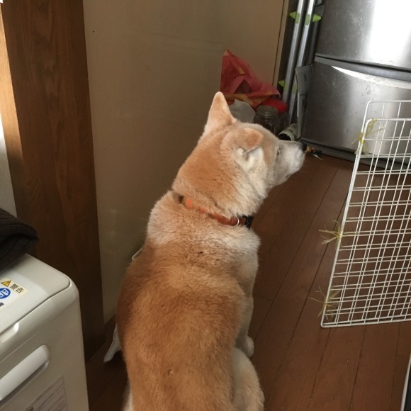 c0123890_21004563.jpeg