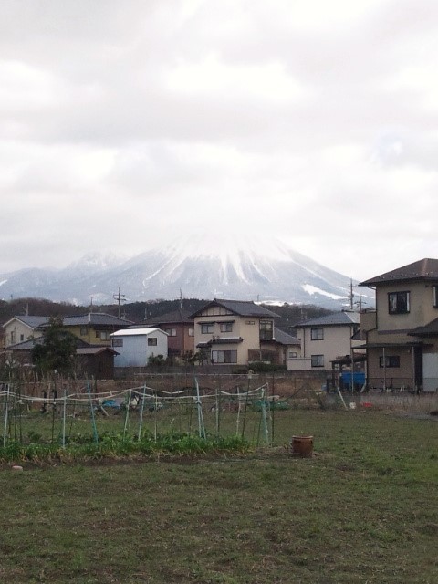 a0105396_00585581.jpg