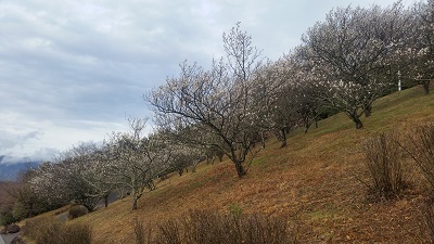 e0143298_2158937.jpg