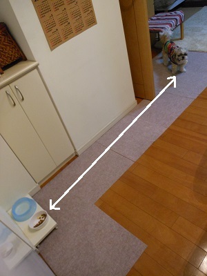 f0372998_08183971.jpg