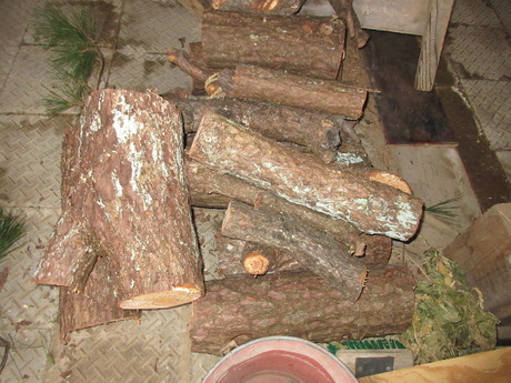 a0203003_20114990.jpg