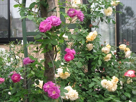 f0325309_11181876.jpg