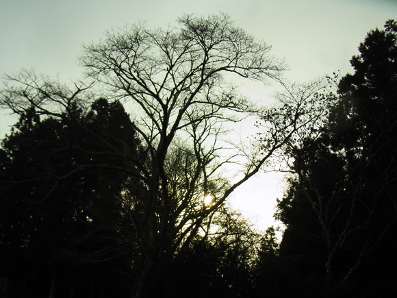 e0083517_18282697.jpg
