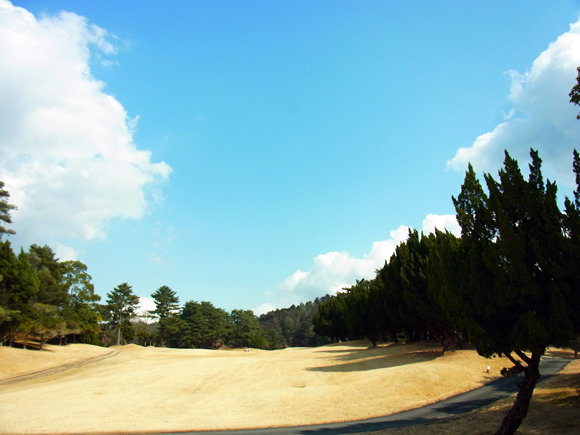 e0083517_18290086.jpg