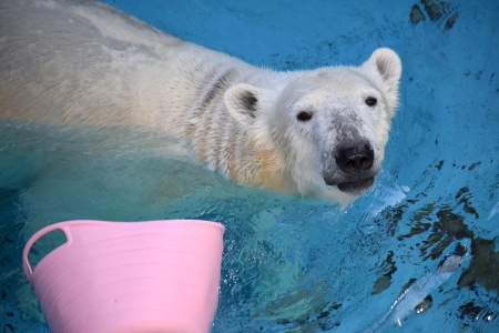 f0344626_22483441.jpg