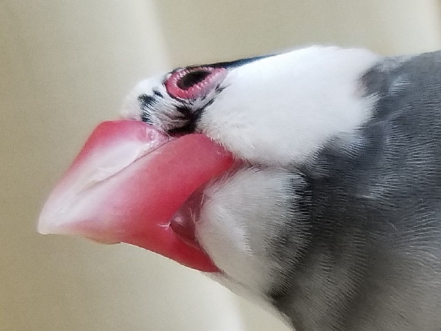 c0365734_22482343.jpg