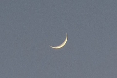 f0234936_85851.jpg