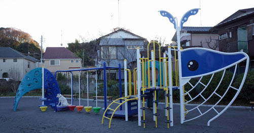 a0117039_2250297.jpg