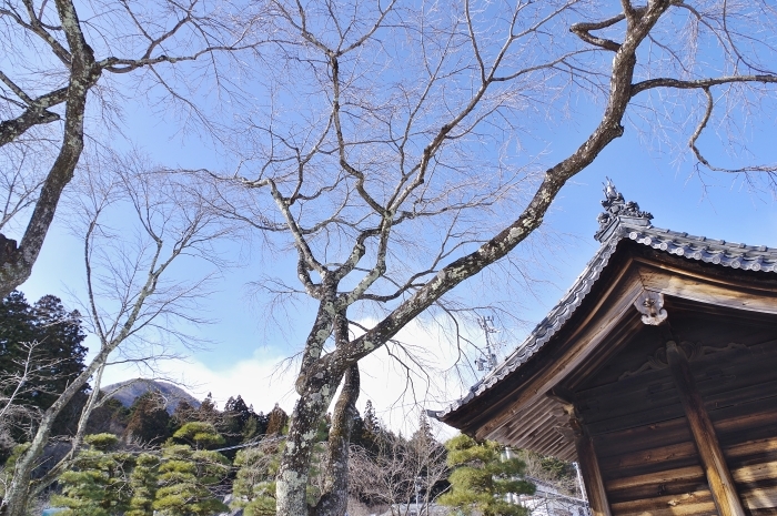c0281841_14500549.jpg