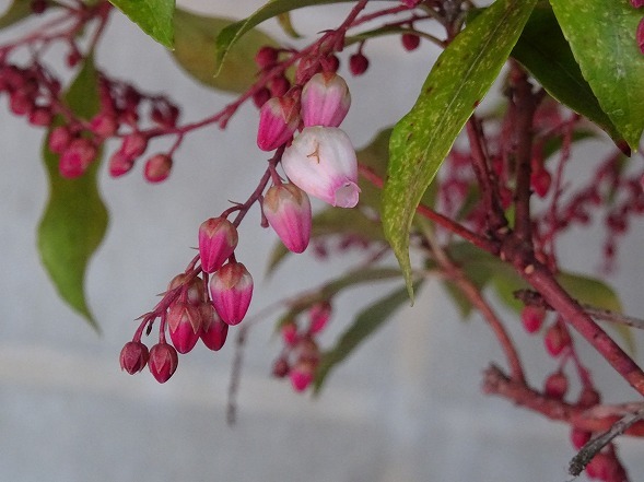 b0299042_17002856.jpg