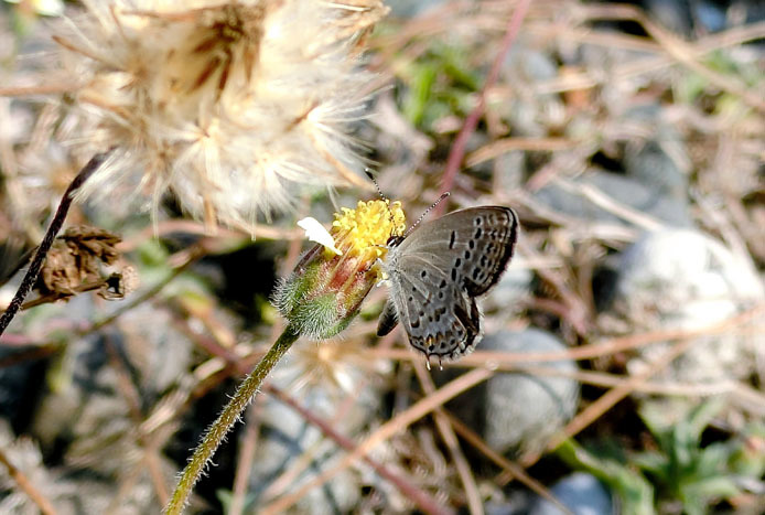 d0149245_11491610.jpg